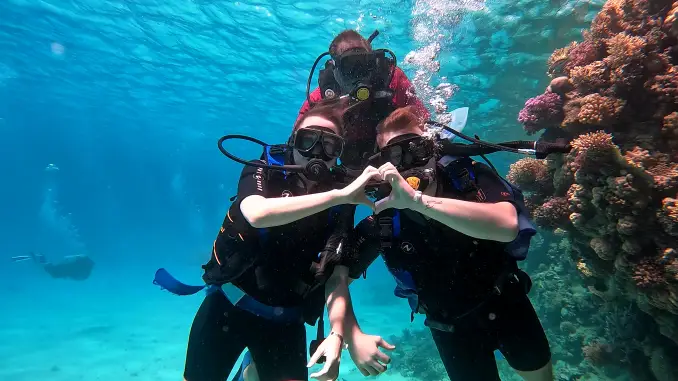 VIP ROYAL CRUISE 6×1