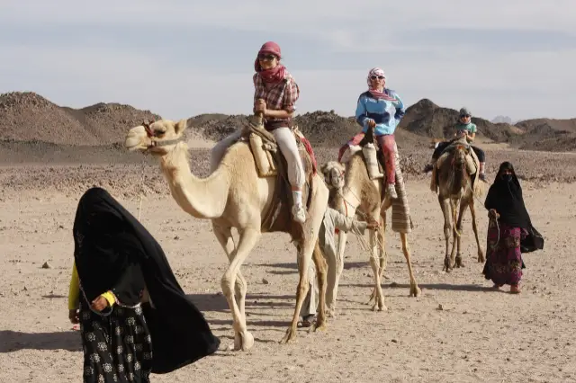 PRIVATE EVENING SAFARI