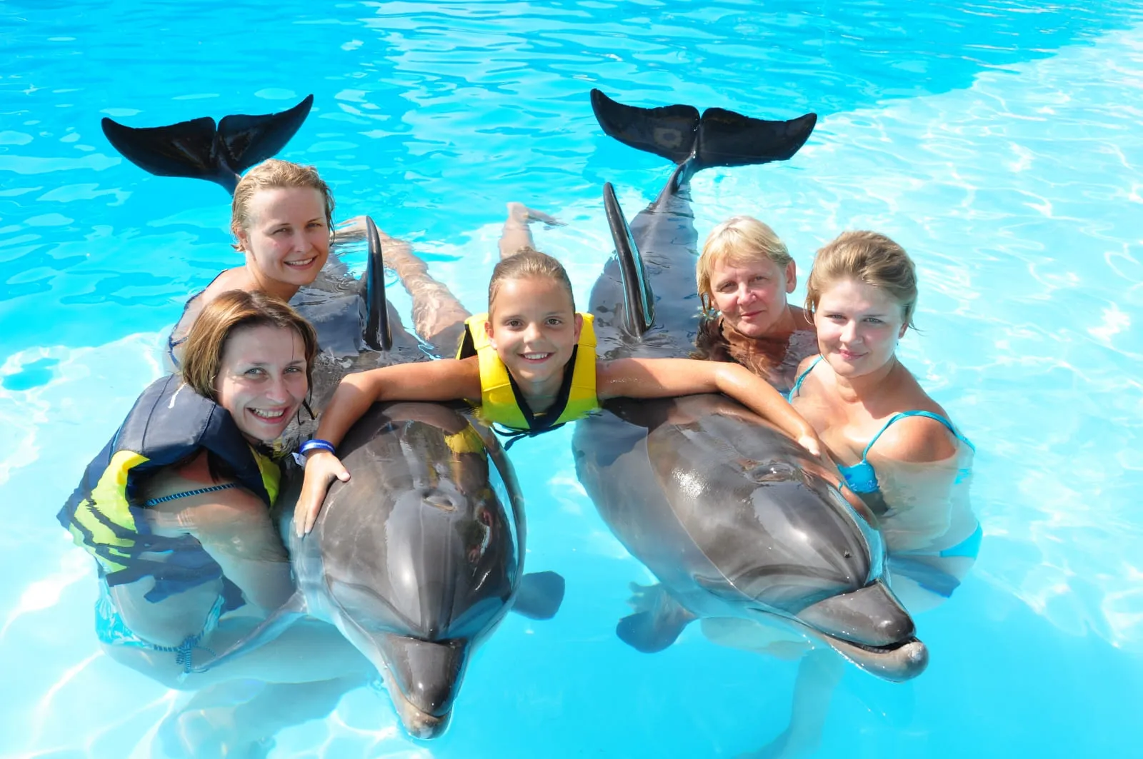PHOTO SESSION WITH DOLPHINS