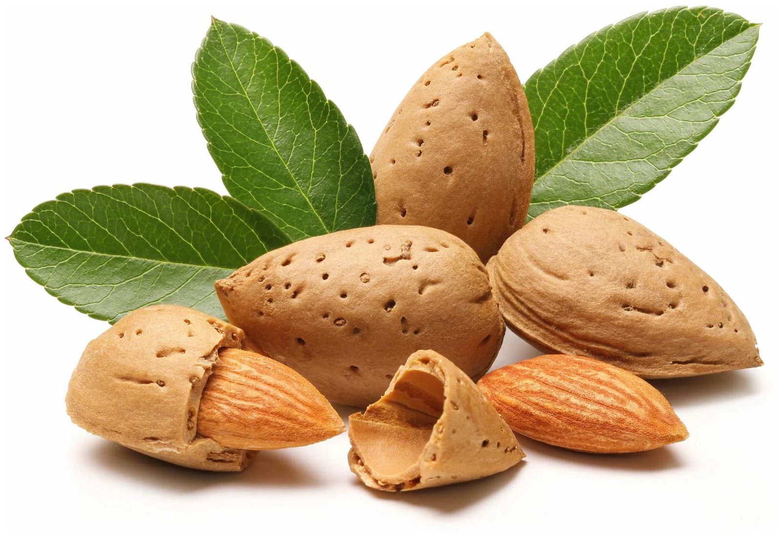 ALMONDS - Image 2