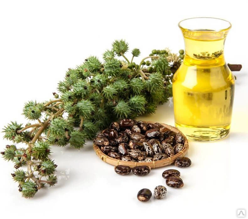 CASTOR OIL - Image 2