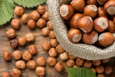 HAZELNUTS - Image 2