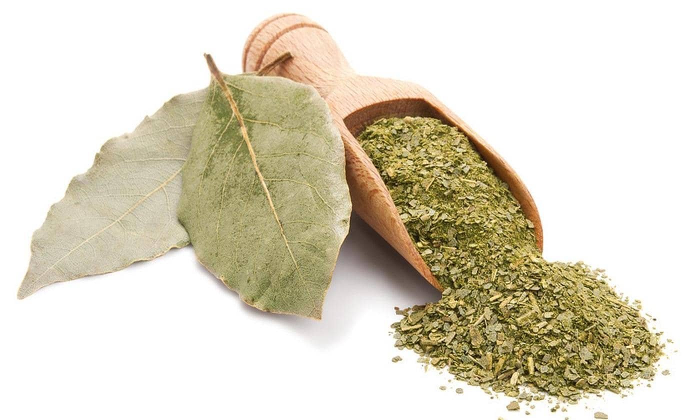 Laurel leaves - Image 2