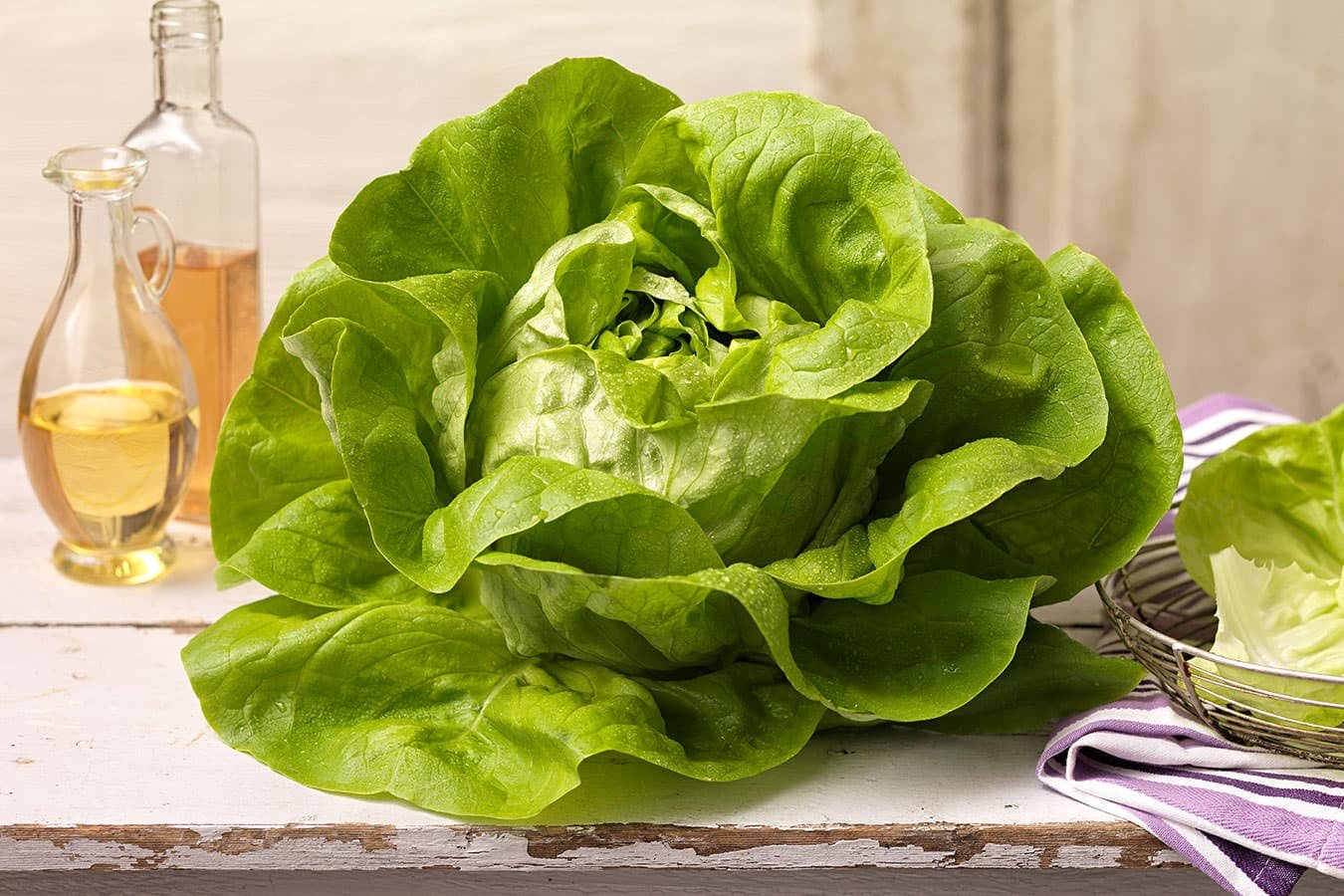 LETTUCE SEED OIL - Image 2