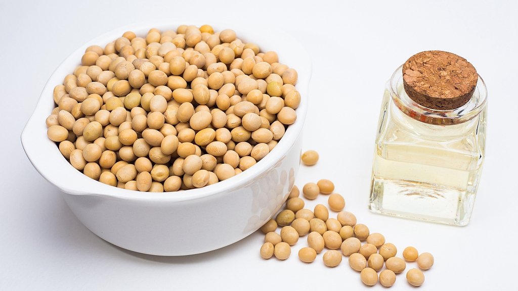 LUPINE SEED OIL (THERMIS) - Image 2