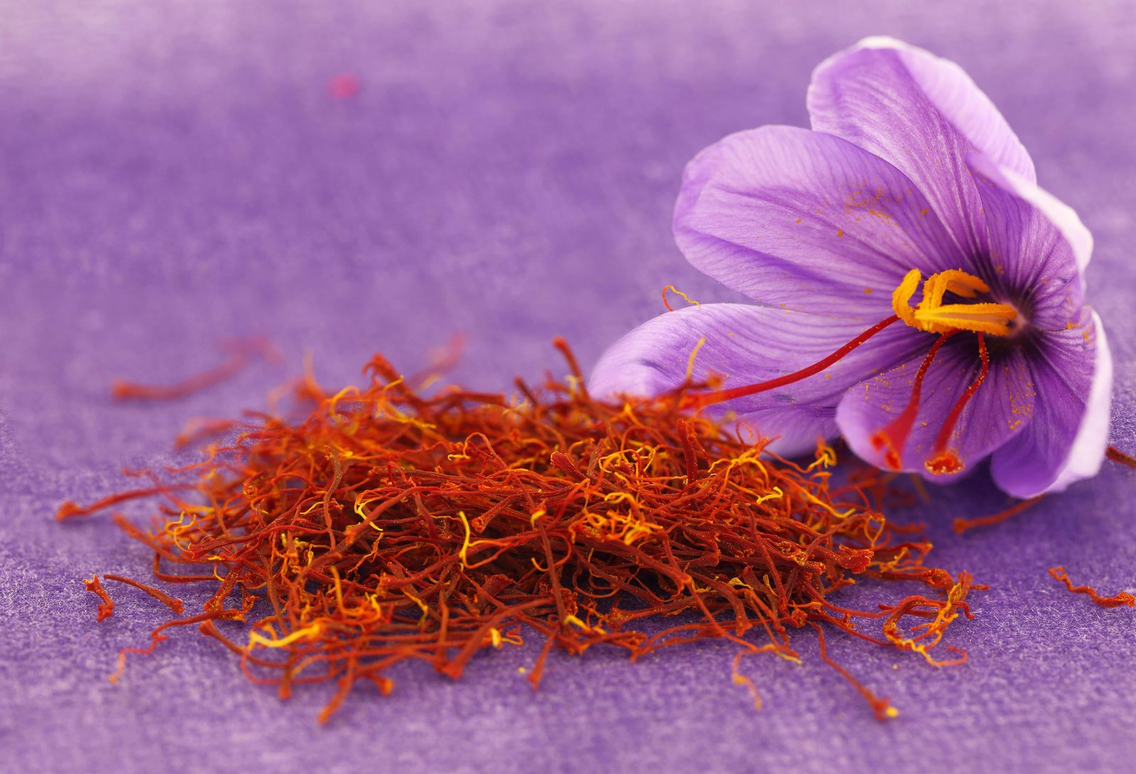 Saffron - Image 2