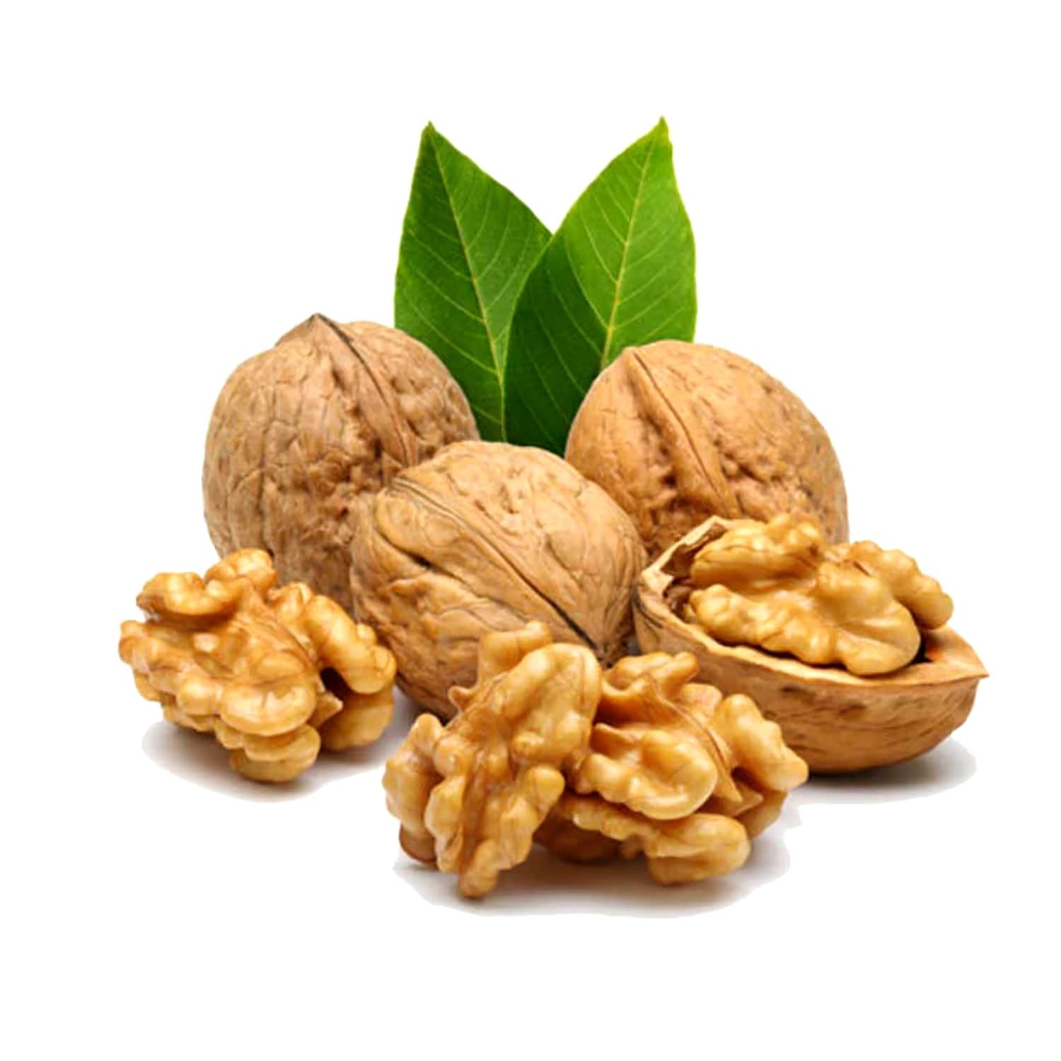 WALNUTS - Image 2