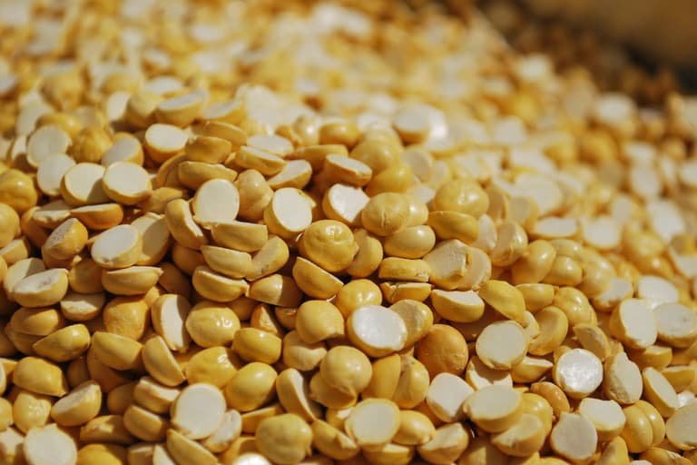 ROASTED CHICKPEA - Image 1