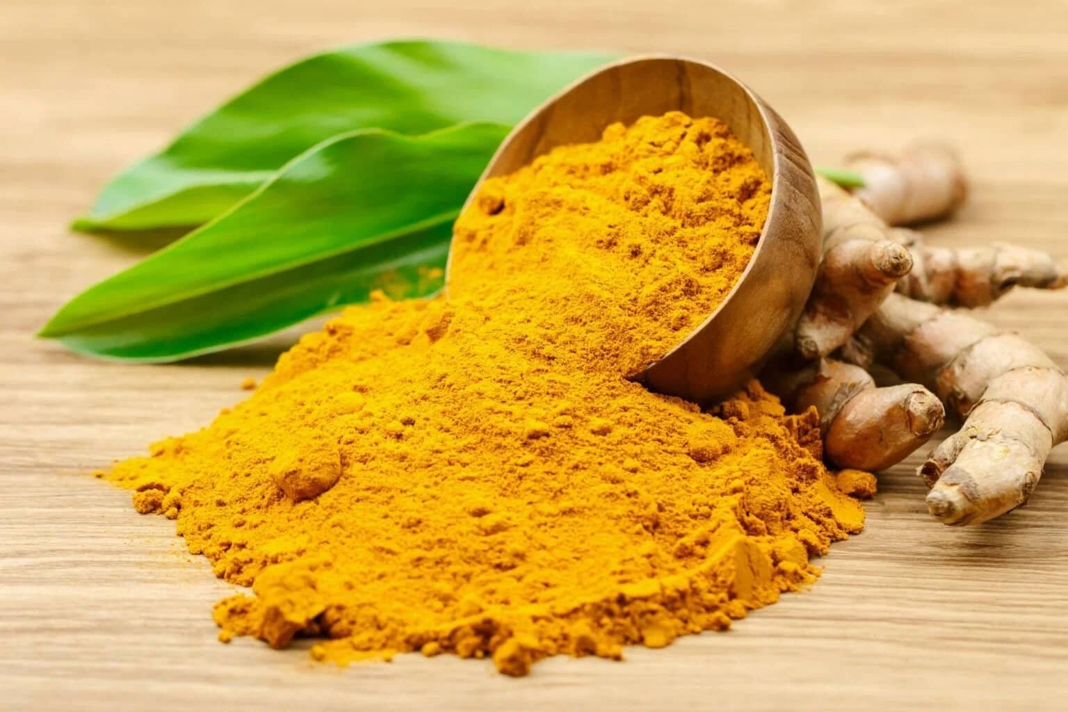 Turmeric - Curcuma